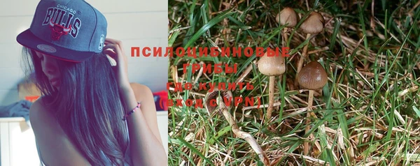 дживик Магадан
